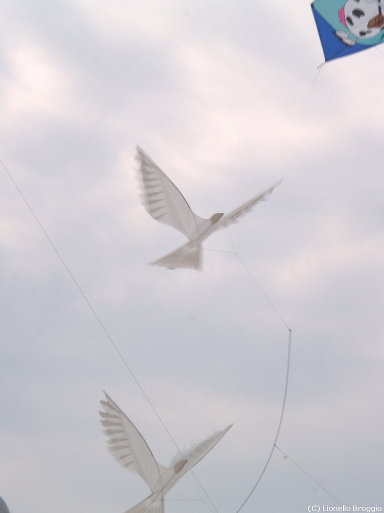 Cervia 2011-139.jpg